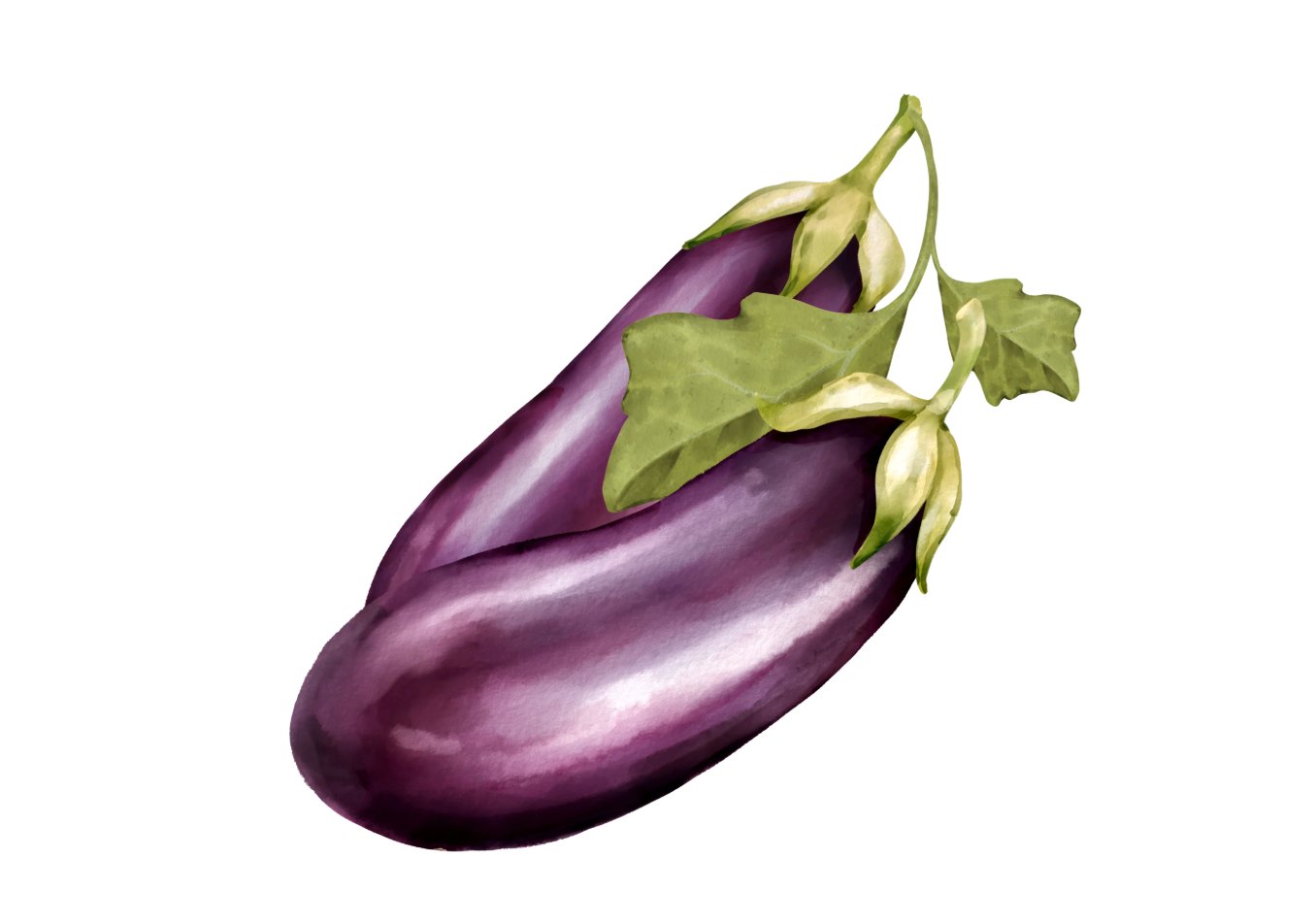 茄子