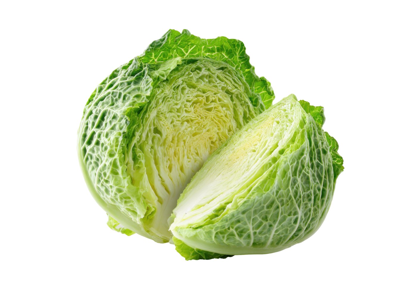 洋白菜