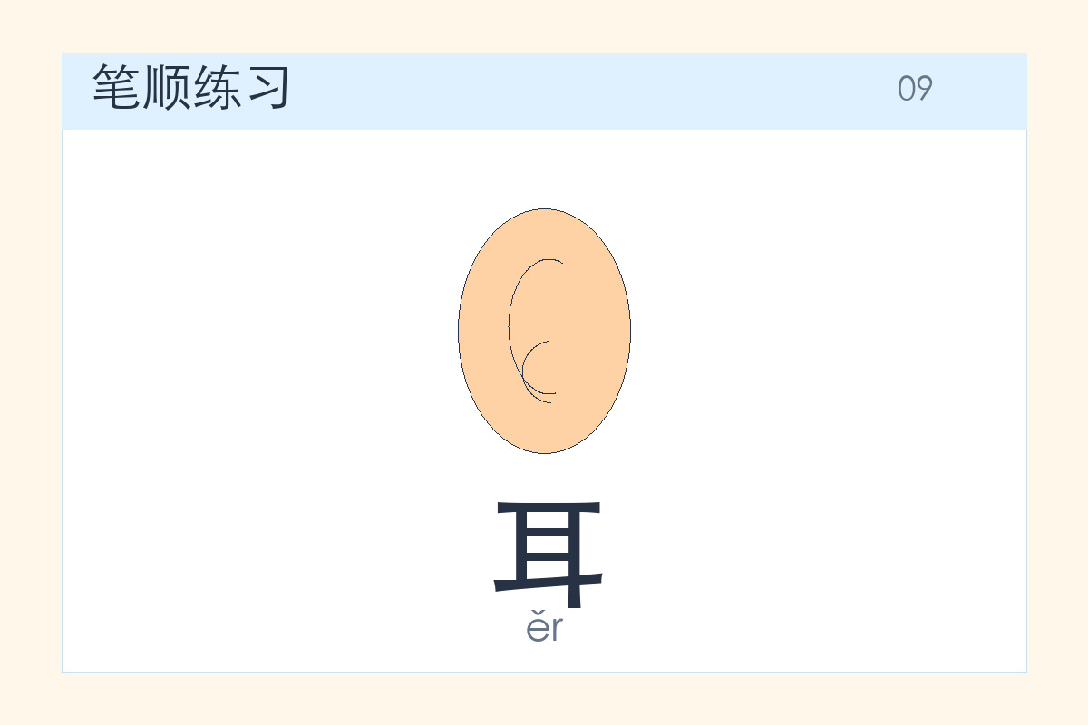 耳